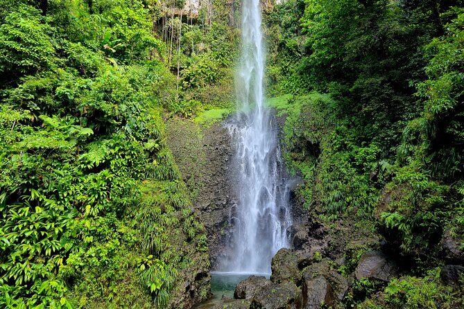 Dominica Adventure Hiking, Swimming, and Hot Springs Tour - Discover Dominica’s Natural Wonders