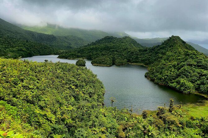 Dominica Adventure Hiking, Swimming, and Hot Springs Tour - Is This Tour Worth the Cost?