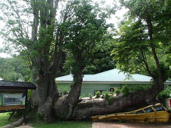 Dominica Chasing Waterfalls Experience - Good To Know