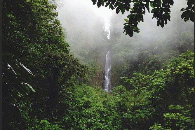 Dominica Chasing Waterfalls Experience - Meeting and Pickup Information