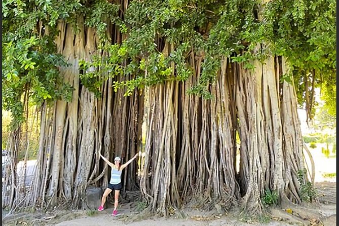 Dominica Chasing Waterfalls Experience - Pricing and Group Size