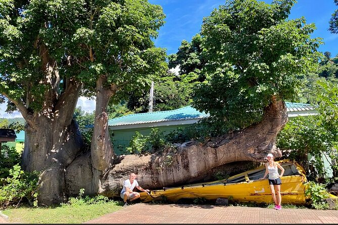 Dominica Chasing Waterfalls Experience - Physical Requirements