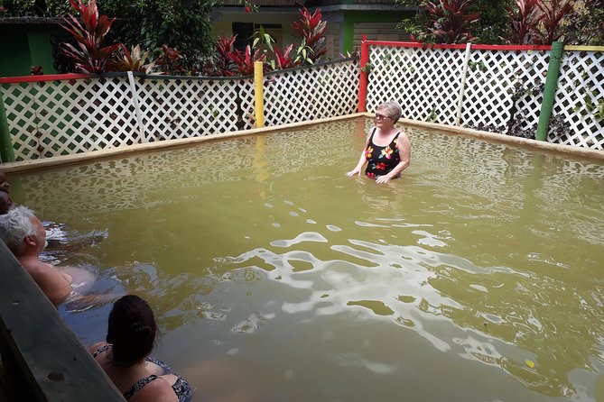 Dominica Half-Day Tour: Mero Beach, Waterfalls, Mineral Bath Wotten Waven - Discovering Salton Waterfalls