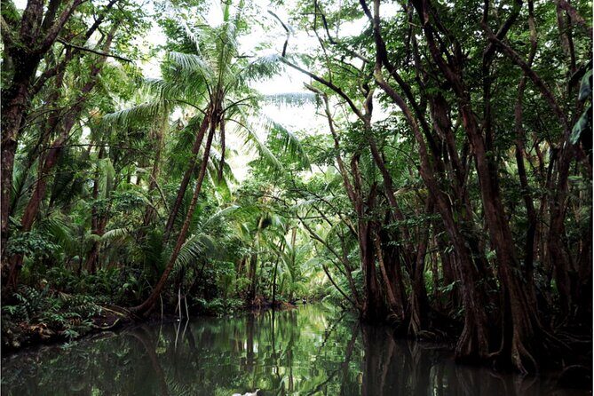 Dominica Indian River Discovery & Beach stop. - Final Thoughts
