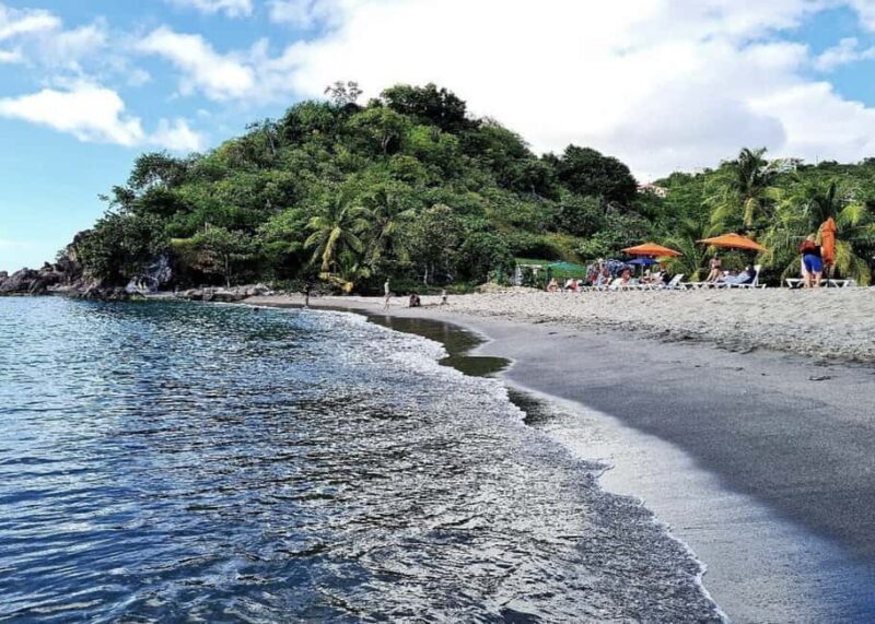 Dominica: Indian River Discovery & Beach Stop Tour - The Itinerary: A Closer Look at the Highlights
