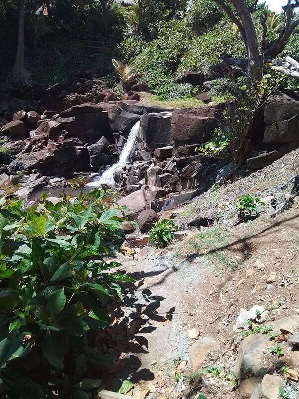 Dominica: Indian village, Hidden gems & British Battle Fort. - Key Points