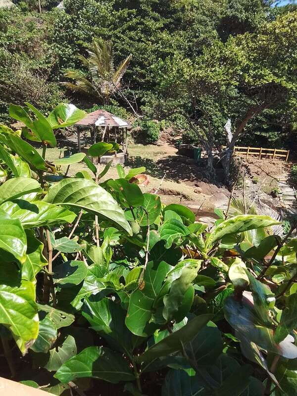 Dominica: Indian village, Hidden gems & British Battle Fort. - Fort Shirley: History Meets Nature in Cabrits National Park