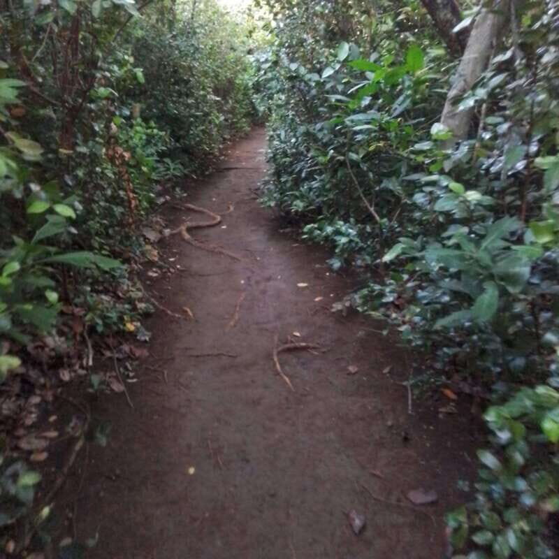 Dominica: Indian village, Hidden gems & British Battle Fort. - FAQs