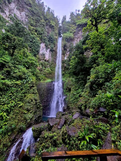Dominica: Middleham Falls, Titou Gorge, and Trafalgar Falls - The Itinerary in Detail