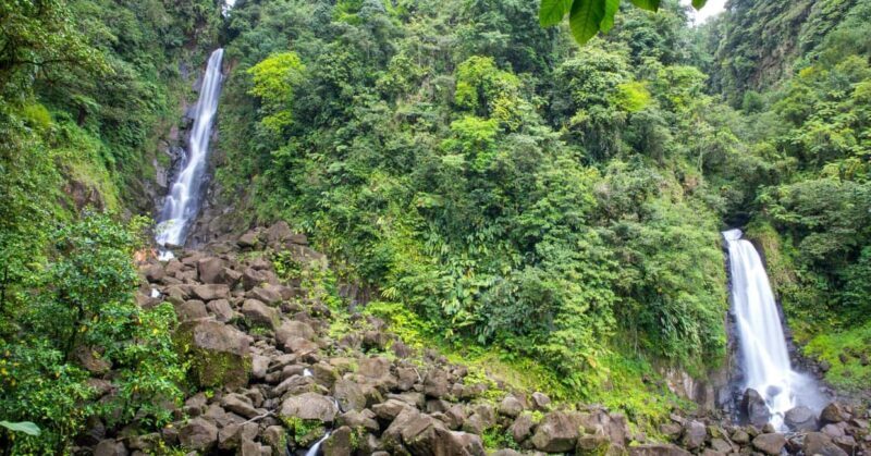 Dominica: Safari Scenic Tour with Karaoke - Who Would Love This Tour?