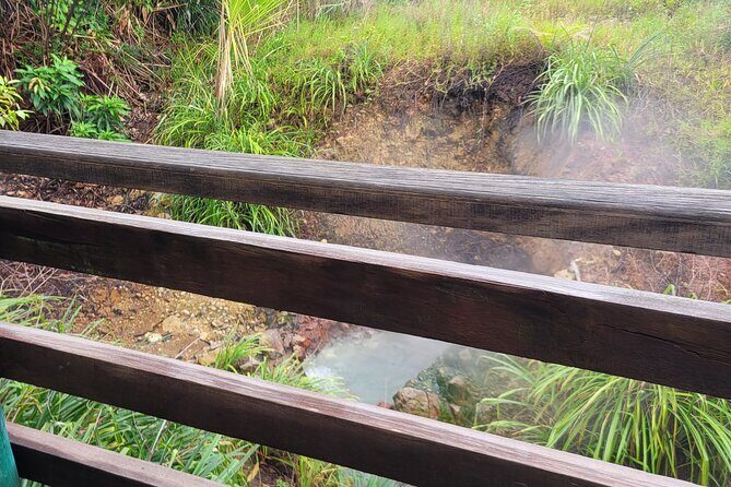 Dominica Scenic Waterfalls and Hot Springs @ Autop Tours - Transportation and Group Size