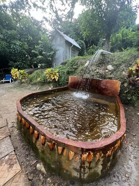 Dominica: Scotts Head Kayak and Soufriere Thermal Springs - Introduction: A Balanced Day of Nature and Adventure