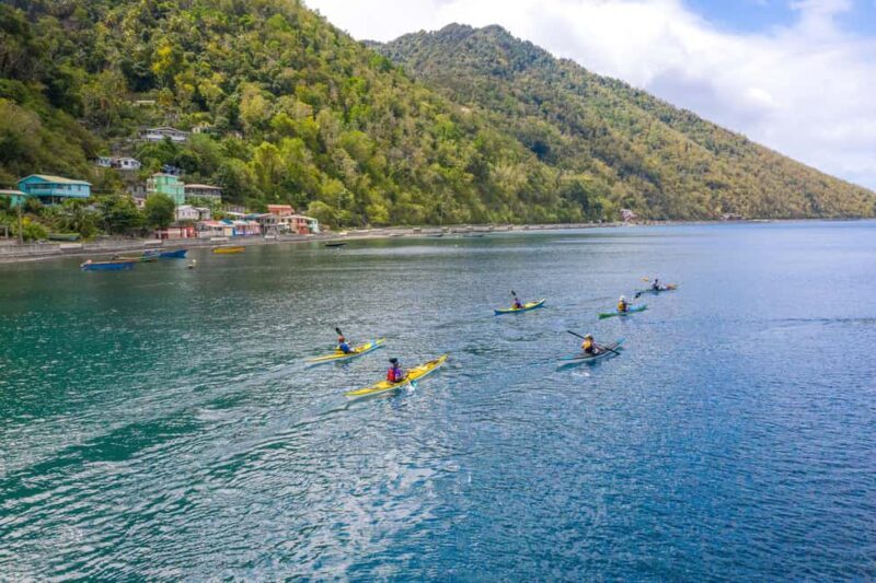 Dominica: Scotts Head Kayak and Soufriere Thermal Springs - What to Expect: Practical Details and Tips