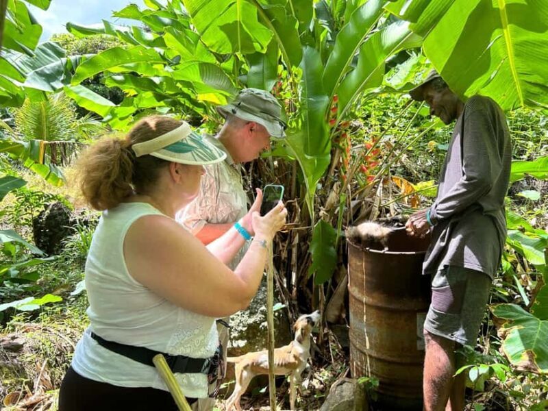 Dominica: Sow & Grow Farm Exploration - FAQs About the Sow & Grow Farm Exploration