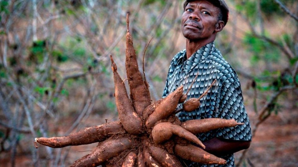 Dominica: Sow & Grow Farm Exploration - Pricing and Booking Details
