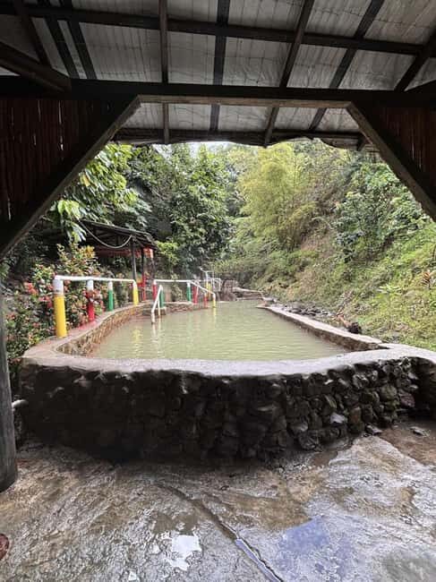 Dominica: Titou Gorge and Hot Springs Tour with Transfer - A Closer Look at the Tour Experience