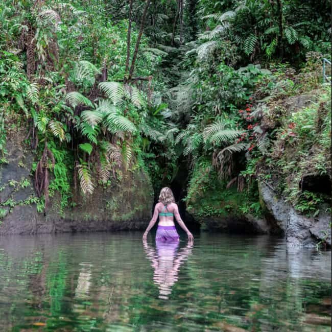 Dominica Waterfalls Chasing and Snorkeling Experience - Key Points
