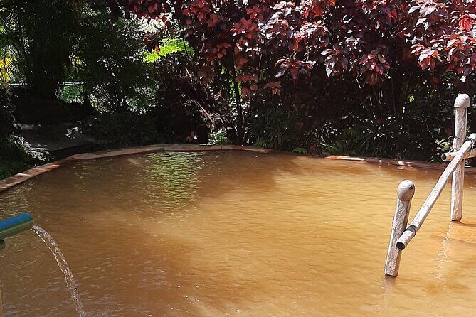 Dominica Waterfalls Full Day Private Expedition @ AUTOP TOURS - FAQ