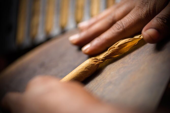 Dominican Cigar Factory Tour - Key Points
