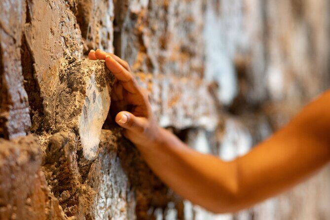 Dominican Cultural Experience in Punta Cana Half-Day Tour - The Sum Up: Is This Tour Worth Your Time?