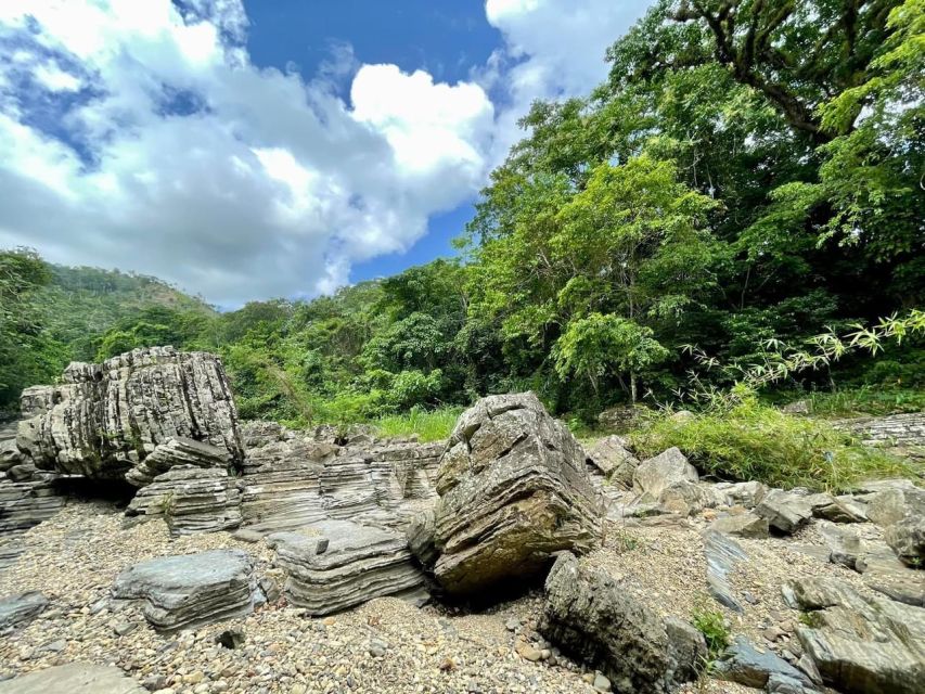 Dominican Culture Immersion: All Inclusive Day Trip - Rural School Visit