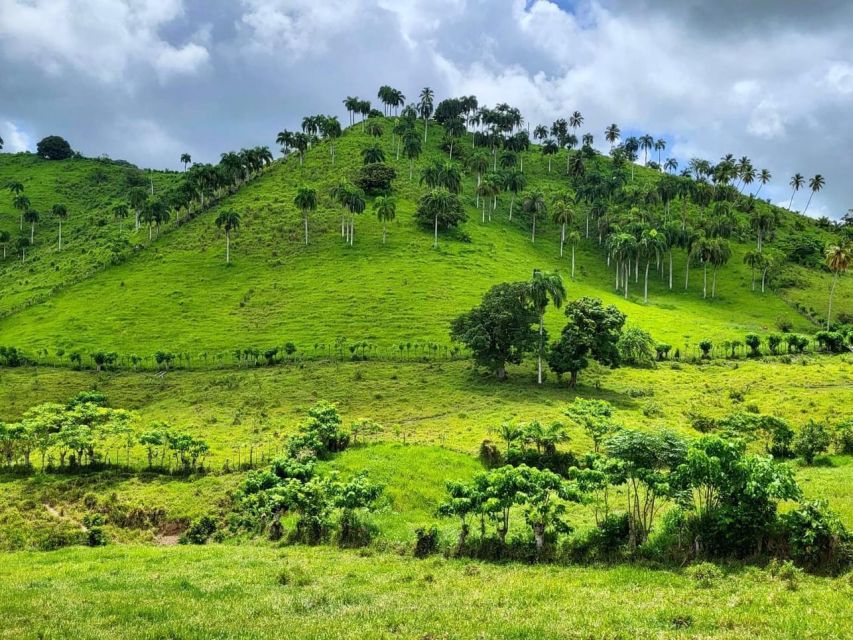 Dominican Culture Immersion: All Inclusive Day Trip - Included Dominican Lunch