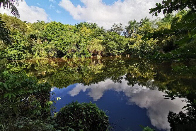 Dominican FLAVOR & COUNTRYSIDE SAFARI Pick-up Included - Exploring the Dominican FLAVOR & COUNTRYSIDE SAFARI: A Practical Guide