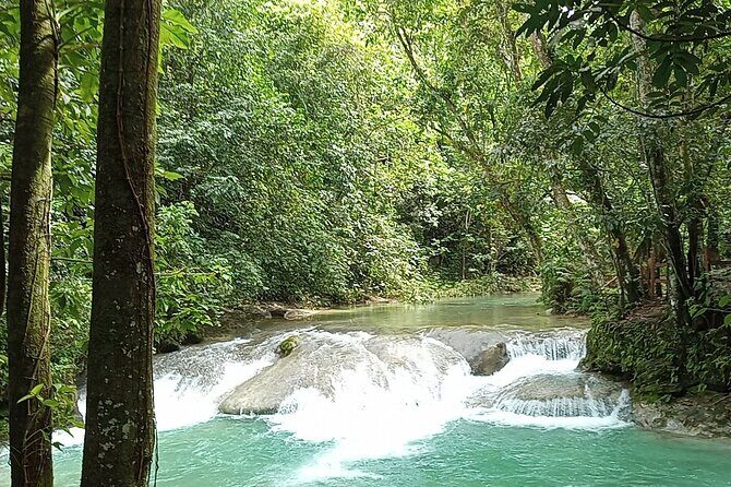 Dominican FLAVOR & COUNTRYSIDE SAFARI Pick-up Included - Key Points