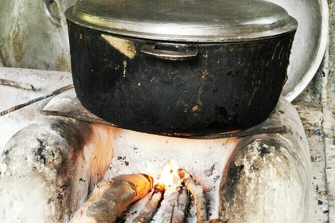 Dominican FLAVOR & COUNTRYSIDE SAFARI Pick-up Included - What We Loved and What to Consider