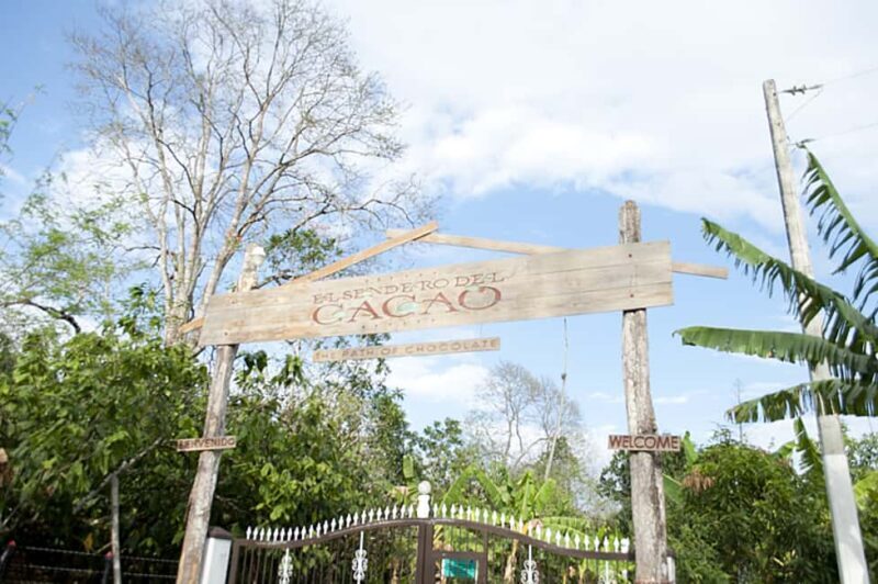 Dominican Republic: 3-Hour Chocolate Lovers Tour - The Sum Up