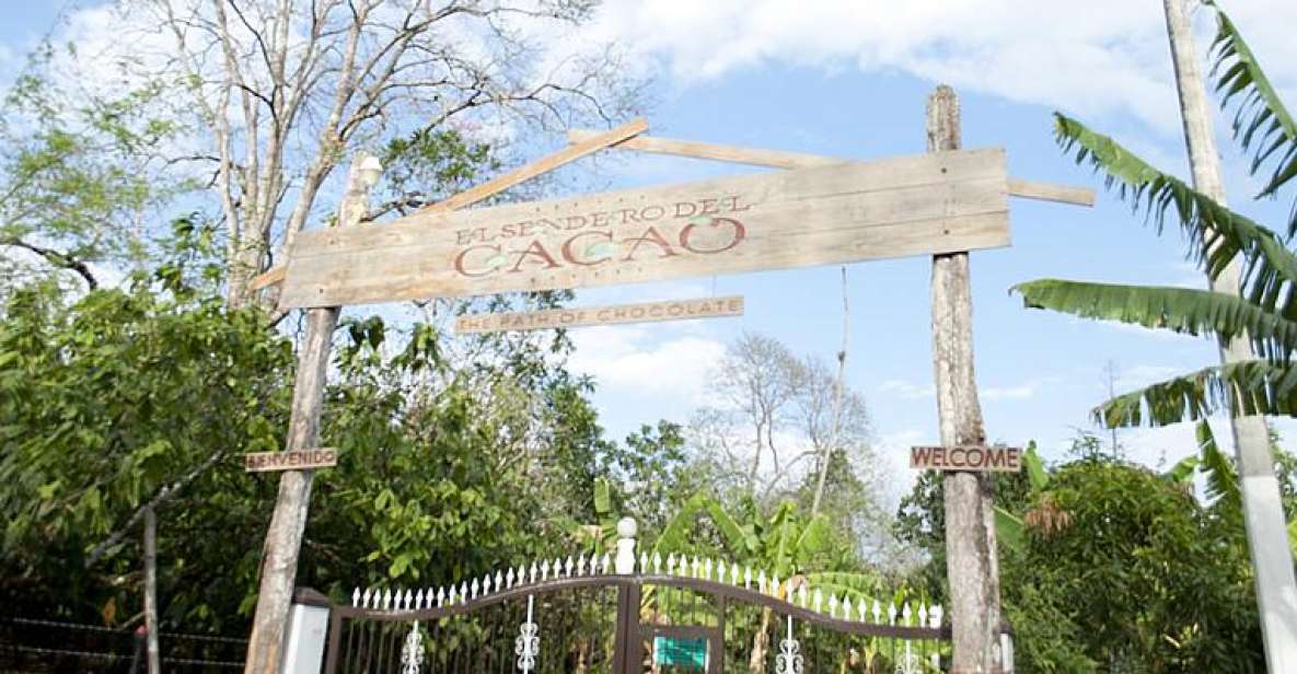 Dominican Republic: 3-Hour Chocolate Lovers Tour - Chocolate Factory Tour