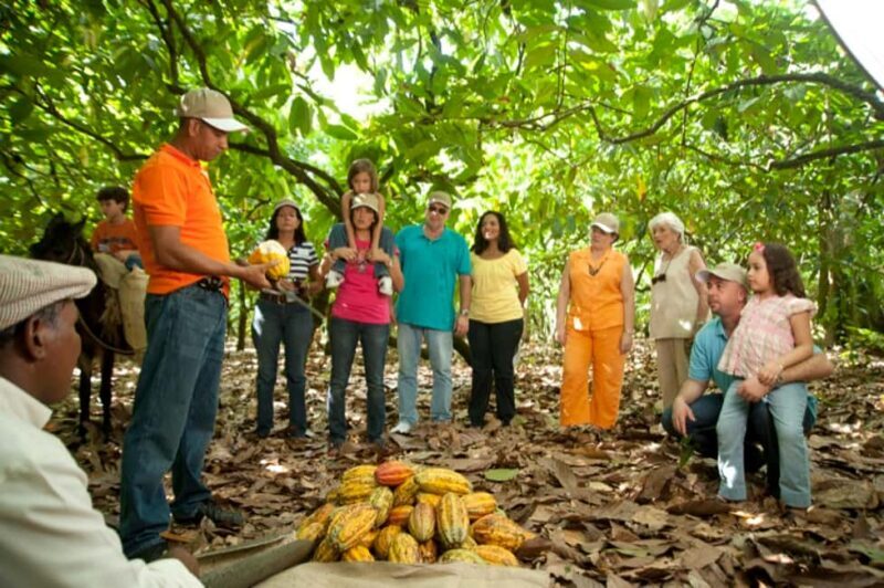 Dominican Republic Cacao Plantation Tour - Price and Value