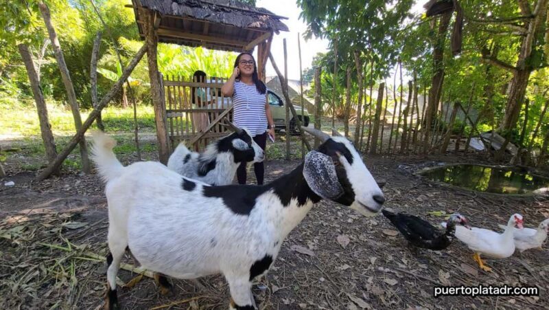 Dominican Republic Countryside Safari Tour from Puerto Plata - Learning About Local Coffee and Cigars