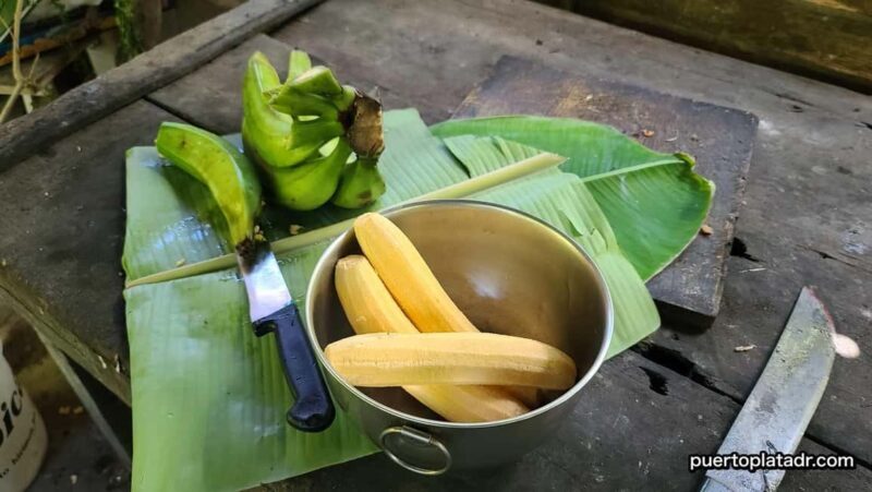 Dominican Republic Countryside Safari Tour from Puerto Plata - A Traditional Dominican Lunch