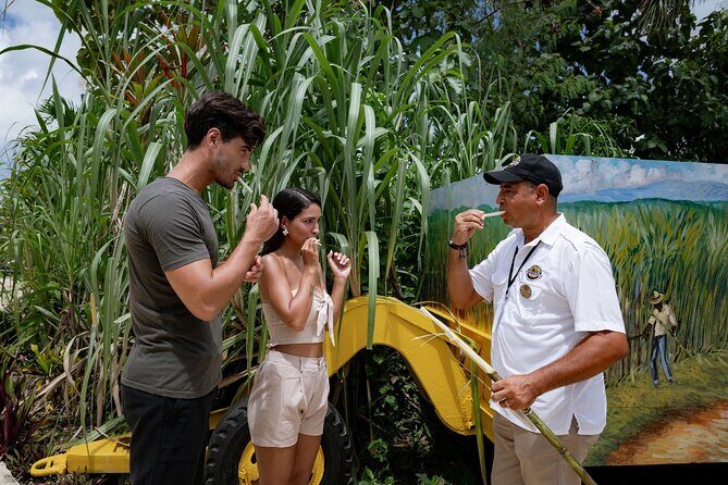 Dominican Safari Adventure: Culture, Nature & Macao Beach - Key Points