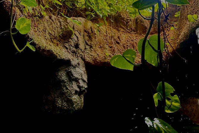 Dominican's 8 hours Trip Zipline, ATV Buggie, Horseback & Safari - FAQ