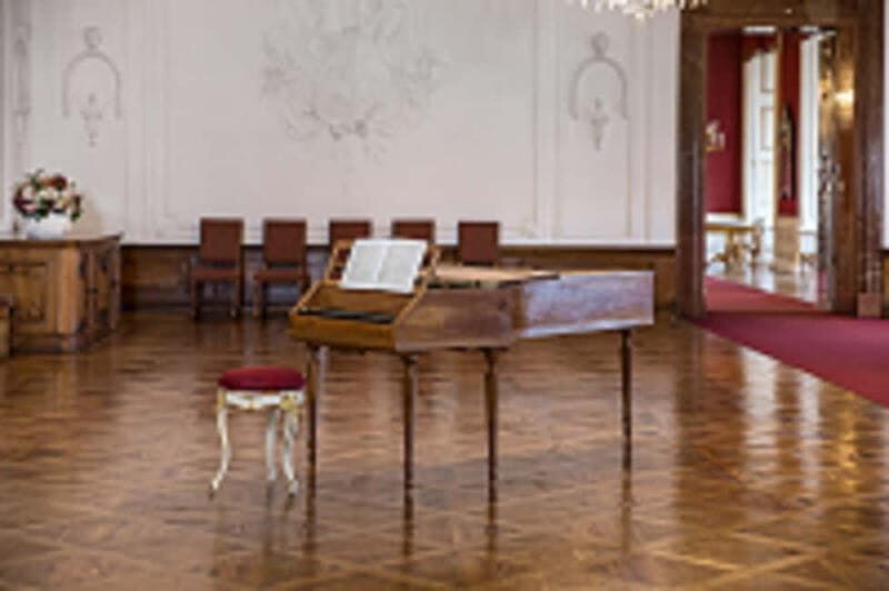 DomQuartier Salzburg: Date with Mozart! Afternoon concerts in the Residenz - Why You’ll Love the Experience