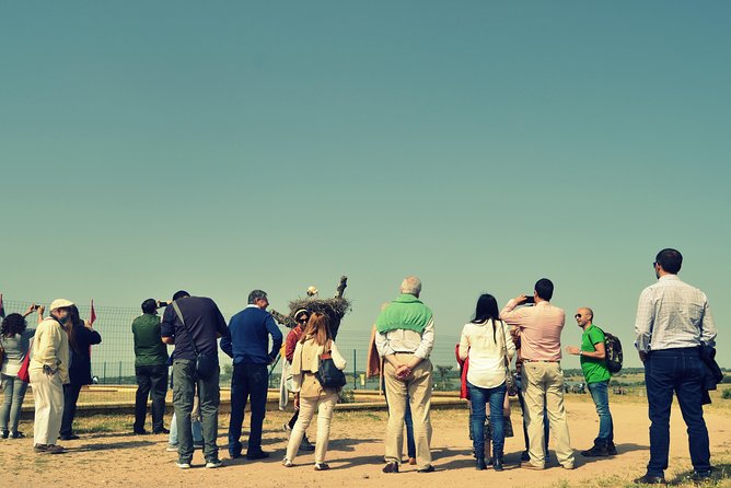 Doñana Natural Park Full-Day Tour From Seville - Travel Tips