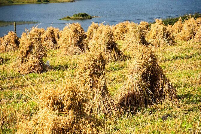 DONEGAL DAY TOUR: Coast and Castles - The Sum Up