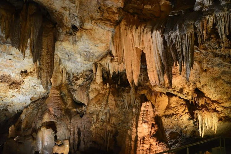 Donkey Farm and Lipa Cave Tour; Cave Crawling Donkey Calling - Frequently Asked Questions