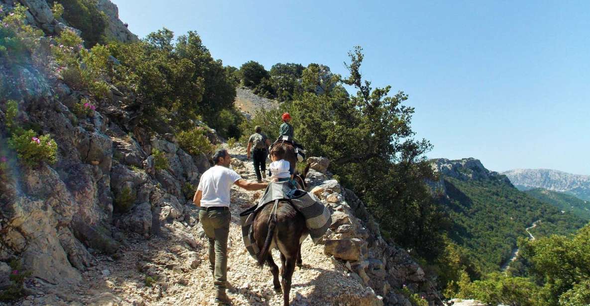 Donkey Walk in Suttaterra Forest From Dorgali - Exploring the Suttaterra Forest