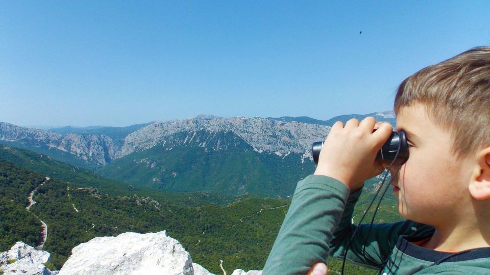 Donkey Walk in Suttaterra Forest From Dorgali - Group Size and Languages