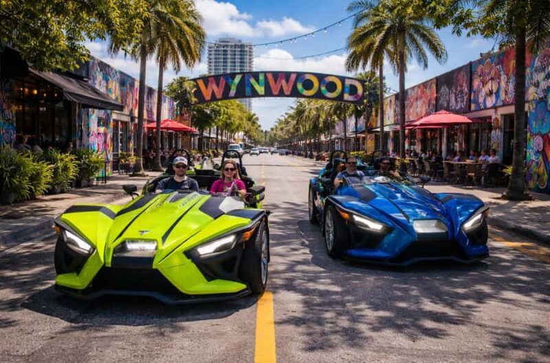 Dont Miss Out  4-Hour Slingshot Experience - The 4-Hour Slingshot Experience in Miami: A Fun Ride with Practical Flair