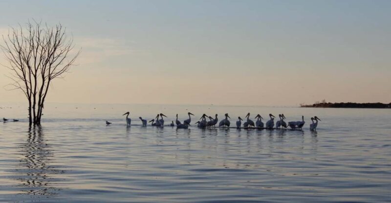 Door County Historic Cottage Row & Strawberry Islands Cruise - A Scenic Introduction to Door County’s Coastal Elegance