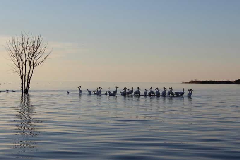 Door County Historic Cottage Row & Strawberry Islands Cruise - Exploring the Strawberry Islands