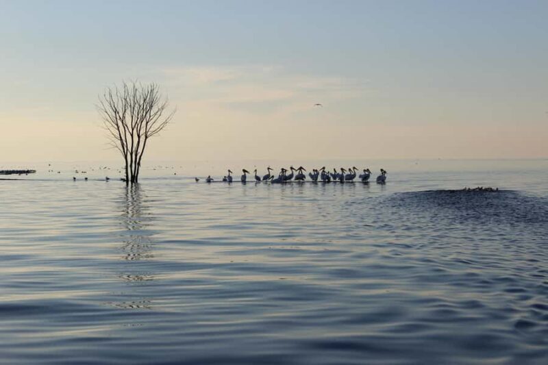 Door County: West Islands & Eagle Bluff Lighthouse Cruise - An Overview of the Experience