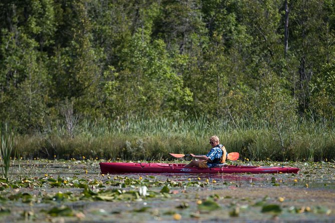 Door County Wetlands Kayak Tour - Good To Know