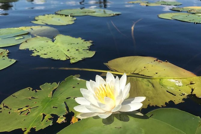 Door County Wetlands Kayak Tour - Inclusions and Amenities