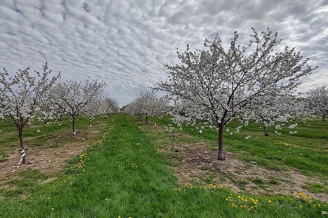 Door Countys Northern Peninsula: A Self-Guided Drive - FAQ