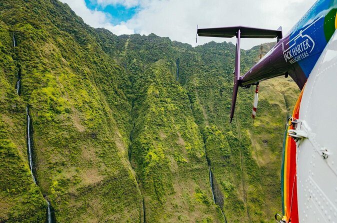 Doors-Off Heart of the Island Kauai Helicopter Tour - Who Should Consider This Tour?